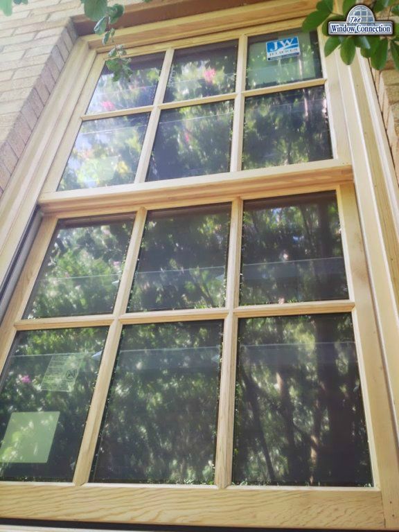 Jeldwen Wood Custom Series Simulated Divided Lite Windows in Kessler Park, Dallas Texas